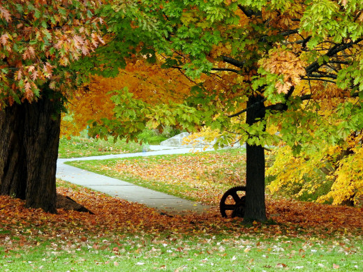 1409442 (a): :2560x1920